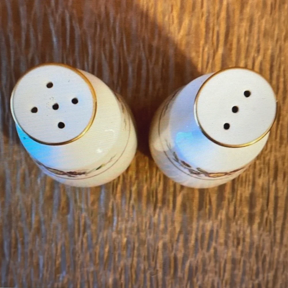 VTG Noritake Ivory Asian Song Salt and Pepper Shaker Set